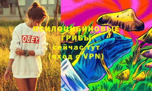 дживик Балабаново
