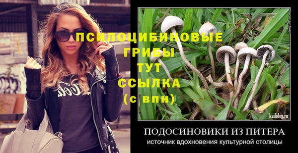 трава Арсеньев