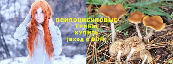 прущая мука Аркадак