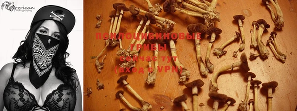 дживик Балабаново