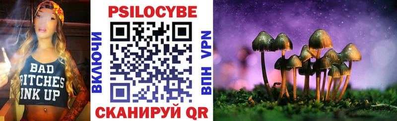 это наркотические препараты  купить  цена  Шагонар  Псилоцибиновые грибы Psilocybe 