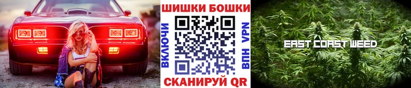 Бошки марихуана индика  купить  цена  Шагонар 